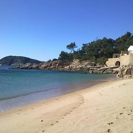 Ancora Palamós