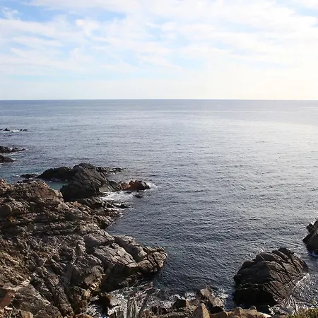 Ancora Palamós