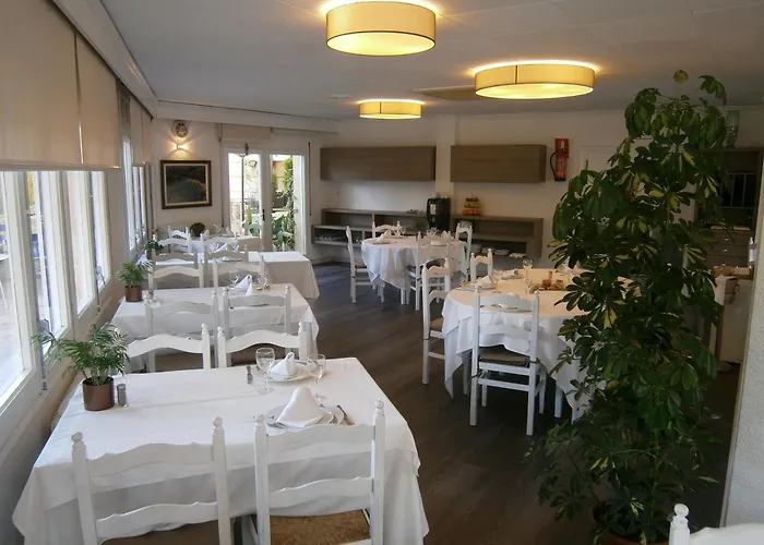 Ancora Palamós