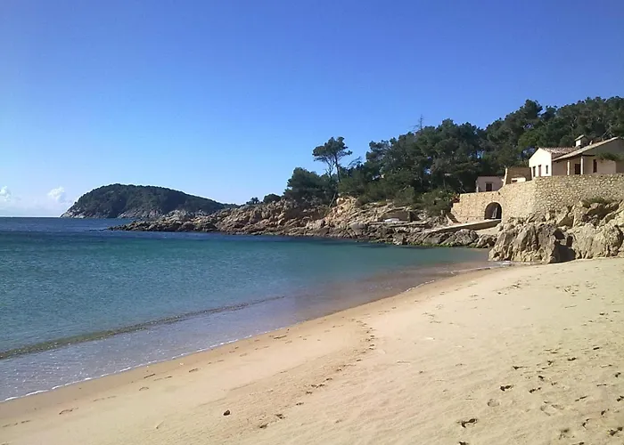 Ancora بالاموس