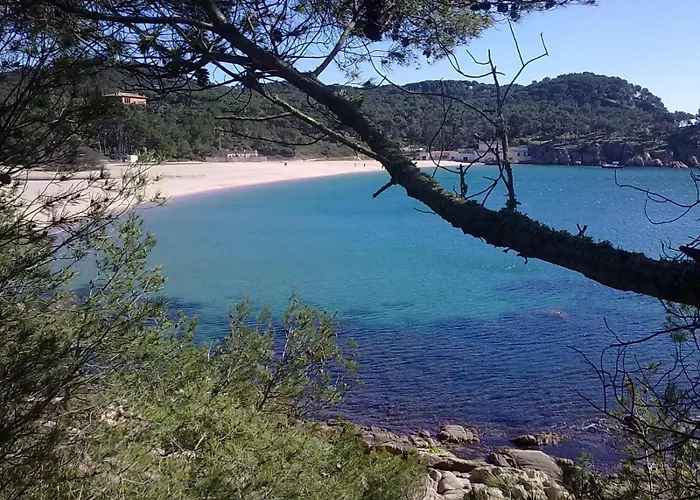 Hotel Ancora Palamós