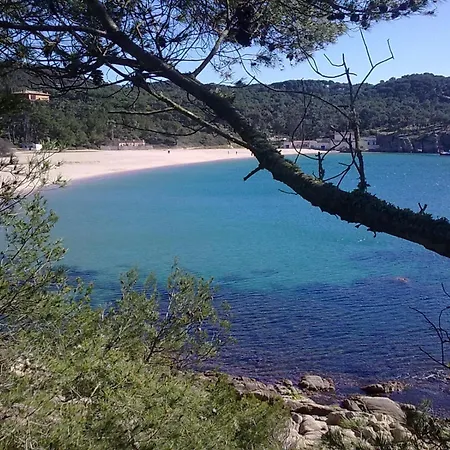 Ξενοδοχείο Ancora Palamós