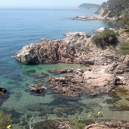 Hotel Ancora 3*